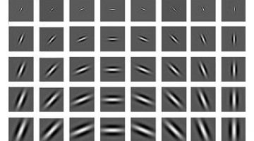 Wavelets Applications