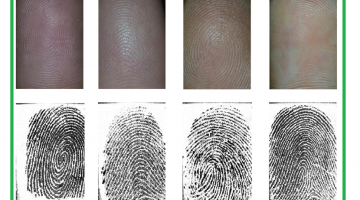 fingerprint 1