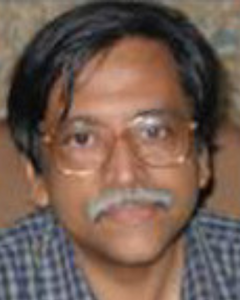Harihar Narayanan iit bombay